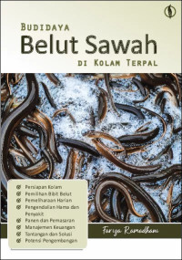 Image of budidaya belut sawah di kolam terpal