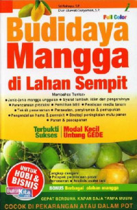 Image of budidaya mangga dilahan sempit